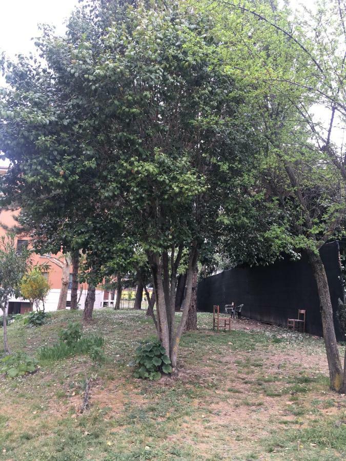 Tra S.Orsola E Fiera Bolonha Exterior foto